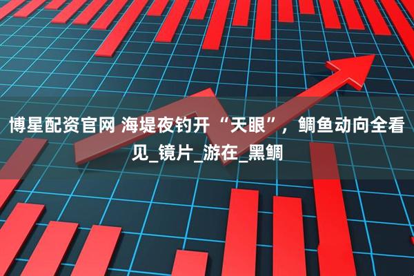博星配资官网 海堤夜钓开 “天眼”，鲷鱼动向全看见_镜片_游在_黑鲷