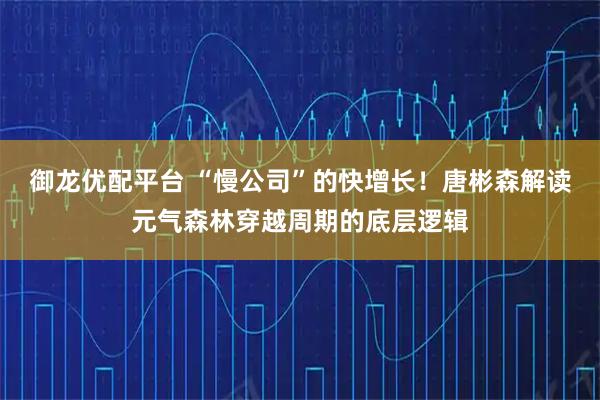 御龙优配平台 “慢公司”的快增长！唐彬森解读元气森林穿越周期的底层逻辑