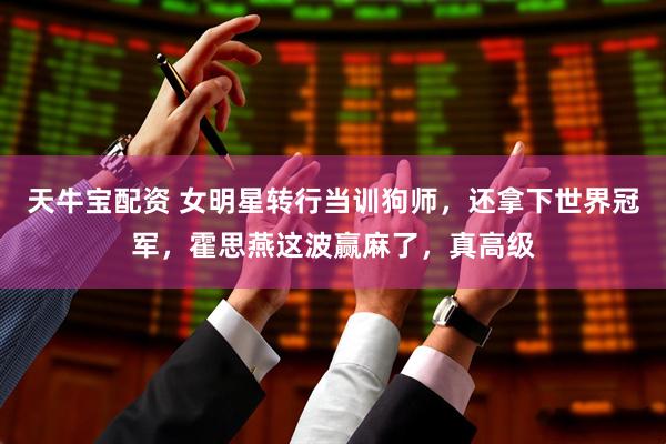 天牛宝配资 女明星转行当训狗师，还拿下世界冠军，霍思燕这波赢麻了，真高级