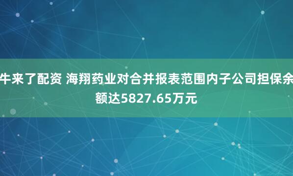 牛来了配资 海翔药业对合并报表范围内子公司担保余额达5827.65万元